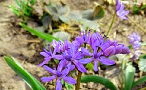 �����]��ÿ��һ���簲΢�ņ�(w��n)���Z(y��)���\45��