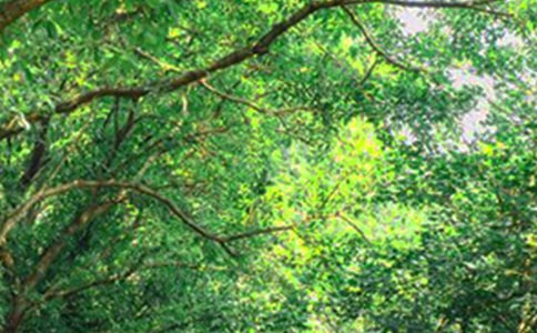 【必備】2020年溫暖的早安問候語QQ摘錄38條