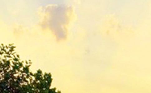 ͨ�����õ��簲�����Zժ�47��