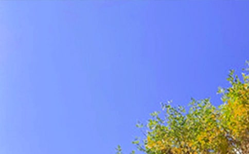 ���؂䡿�����簲΢�ņ����Z24�l