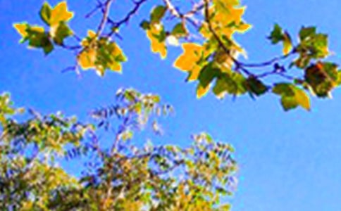 ����(sh��)�á��°��簲΢�ņ����Z��ϼ�60��