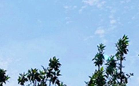 常用溫馨的早安朋友圈問候語23條