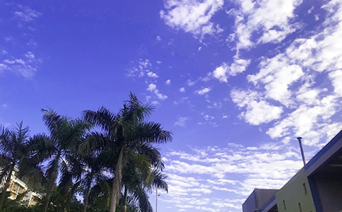 2024年精選每日一句早安問(wèn)候語(yǔ)集錦72條