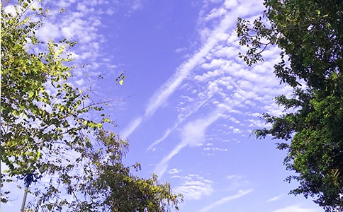 ���؂䡿2026���簲�����Z�\��47�l