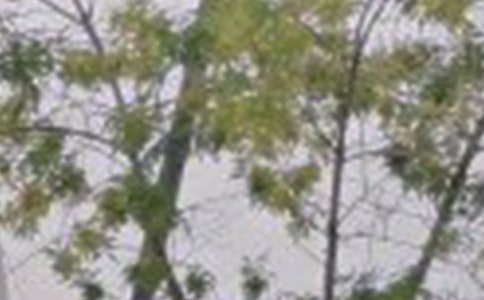 【推薦】2025年治愈系早安問候語語錄匯編45句