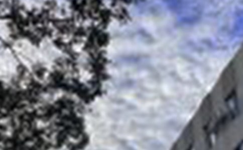 2025��ͨ���m�����ϰl(f��)���簲΢�ņ����Z19�l