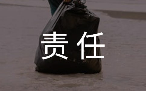 安全用電責(zé)任書(shū)(集錦15篇)