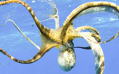 С�����g(sh��)���~�̰�