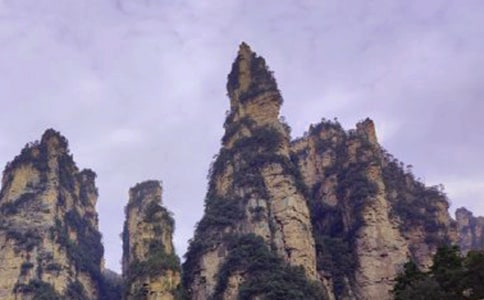 美麗的張家界作文500字9篇(經(jīng)典)