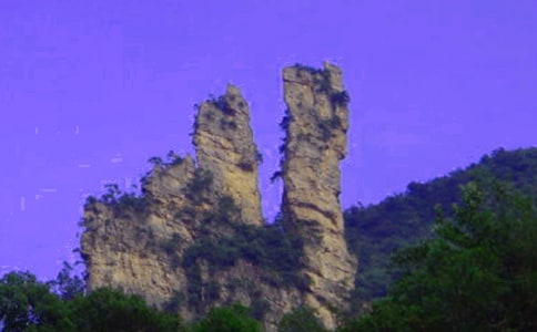 游張家界作文(優(yōu)秀)