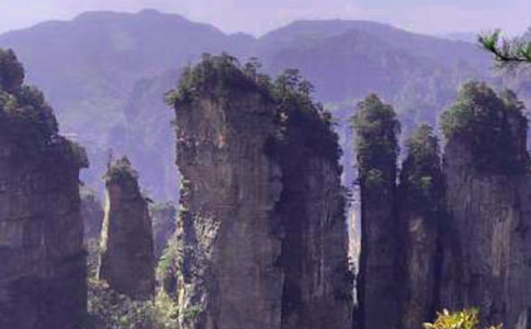 �Ώ��ҽ����ɭ�ֹ��@����