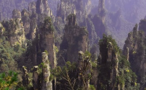 ���ҽ�����