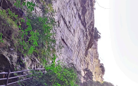 迷人的張家界學生作文