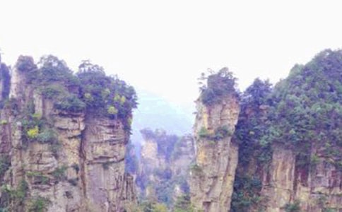 迷人的張家界作文