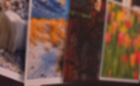 照片的故事的作文600字