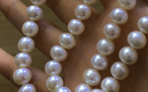 讀珍珠有感15篇