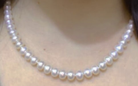 珍珠泉教案設計(11篇)