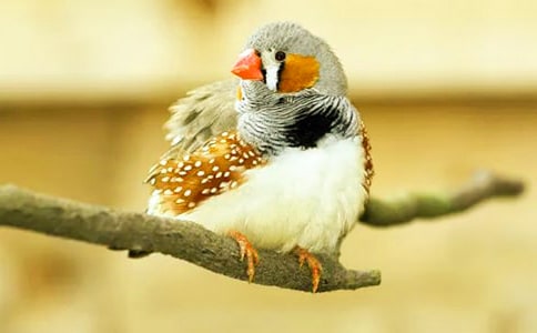 �������B���x��з���250��