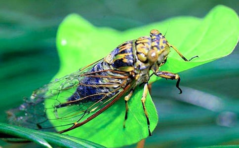 С�W(xu��)���꼉���ģ�׽֪��