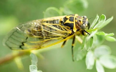 ׽֪�˺(y��u)������