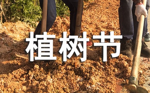 植樹節(jié)活動策劃方案范文