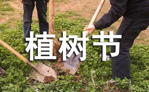 植樹節(jié)活動方案匯編8篇