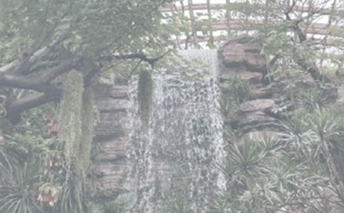 秋游植物園作文范文