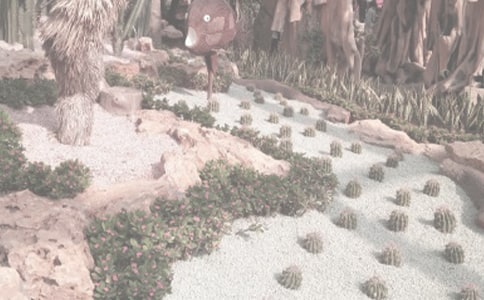 ������ֲ��@����500�־��A[15ƪ]