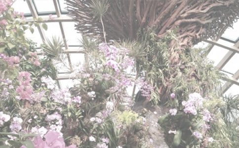 【薦】游植物園作文