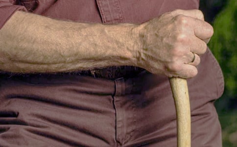 中年級說明文教學中的言語實踐例談