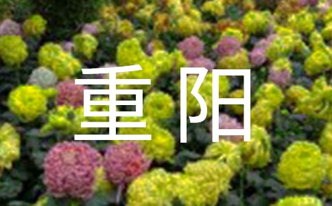 小學(xué)重陽佳節(jié)方案(通用11篇)