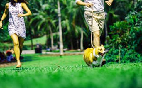 �ҵ���ĩ��(y��u)������