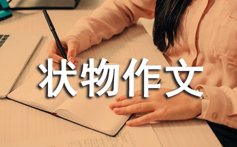 【實(shí)用】四年級狀物作文合集7篇