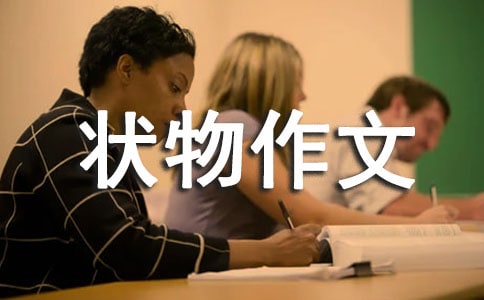 【推薦】狀物作文400字合集10篇