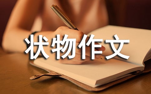 ����Ʒ�����꼉�������ļ���8ƪ