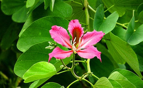 (��Ʒ)���G��������24ƪ