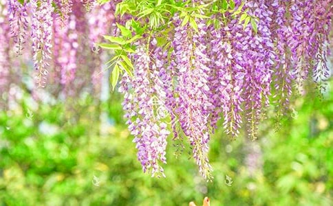 ���ٻ����ľ�Ʒ[6ƪ]