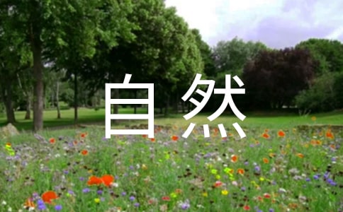 給大自然的一封信