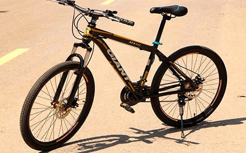 我心愛的自行車作文