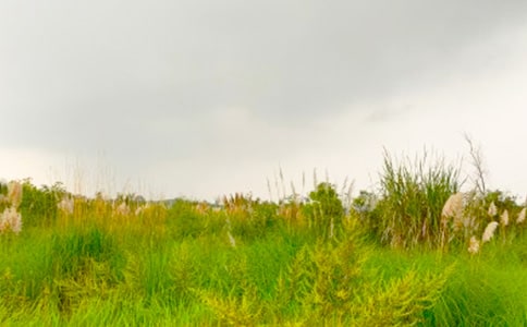 �x���M(j��n)���C�Ĵ����и�