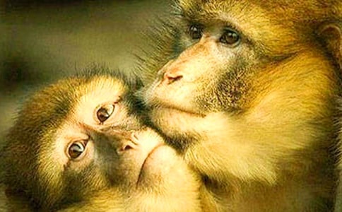 ��(xi��)��(d��ng)������ģ���������ͨ��5ƪ��