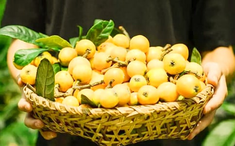 ����ժ�������Ժ�����