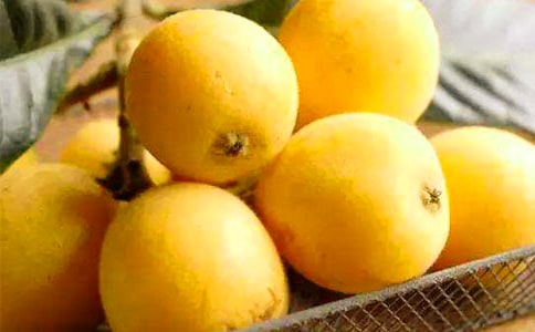 讓人嘴饞的枇杷小學(xué)生作文