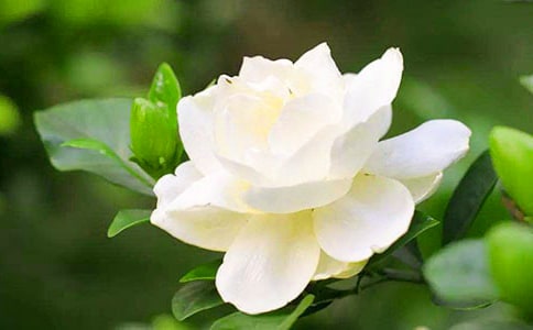 ���᡿�d�ӻ��_����