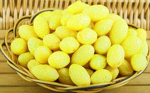 �ϙ�֦�µ���������