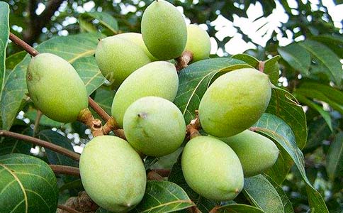 橄欖油最奇妙的8種護(hù)膚小竅門(mén)