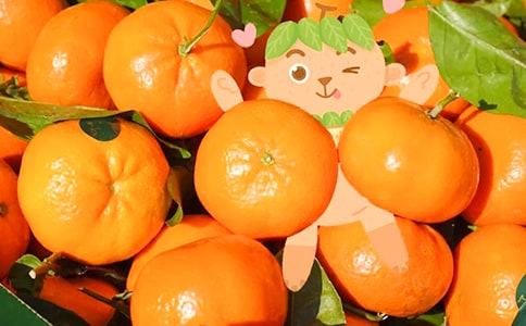 小班美術(shù)活動(dòng)教案及教學(xué)反思《撕貼橘子》