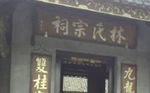 ����������v��