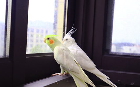 ��Ƥ�W�^����(�R��15ƪ)