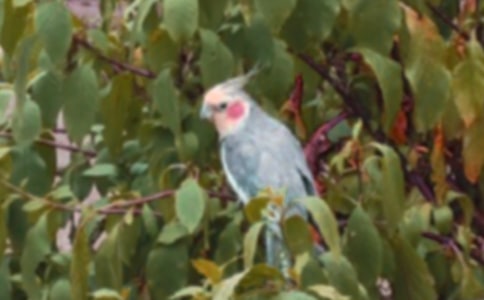 ��Ƥ�W�^���ľ��x23ƪ